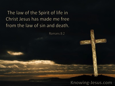 Romans 8:2 The Law Of The Spirit Of Life In Christ Jesus (windows)07:07